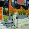Islington Multifamily Streetscape, WINTER HOLBEN architecture + design